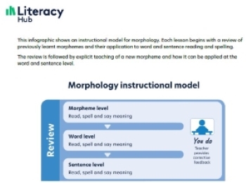 Morphology instructional model  Image