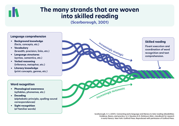 Image shows two strands (language comprehension; word recognition) weaving together to make a larger rope (skilled reading). The top strand is ‘Language comprehension – becomes increasingly strategic’, made up of 4 areas: background knowledge (facts, concepts, etc); vocabulary (breadth, precision, links, etc); language structures (syntax, semantics, etc); verbal reasoning (inference, metaphor, etc); literacy knowledge (print concepts, genres, etc). The bottom strand is ‘Word recognition – becomes increasingly automatic’, made up of 3 areas: phonological awareness (syllable, phonemes, etc); decoding (alphabetic principle, spelling–sound correspondences); sight recognition (of familiar words). Skilled reading is explained as fluent execution and coordination of word recognition and text comprehension. Scarborough, 2001. Reproduced with permission of Guilford Press.