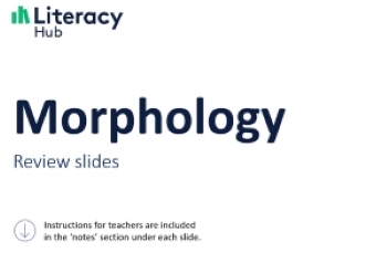 Morphology review slides  Image