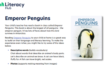 Emperor Penguins (for families)  Image