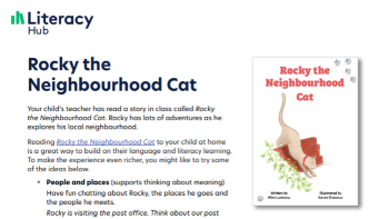 Rocky the Neighbourhood Cat (for families)  Image